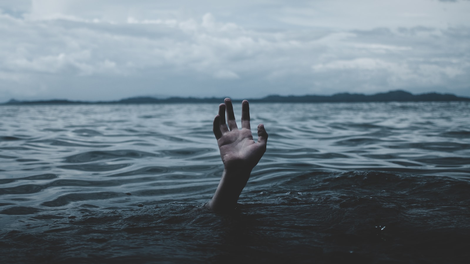 Should-Watch Films: Suggestions for Each Movie Fanatic